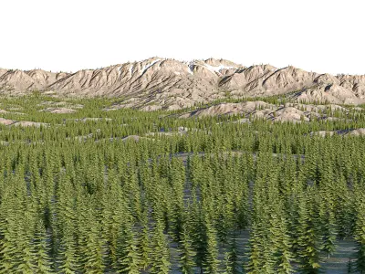 landscape01 engelmann spruce 3D model