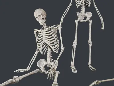 10 Skeletons Old and Mossy Game Ready Low-poly 3D model