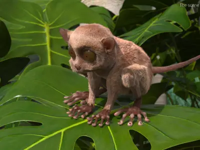  Tarsier Fur for Cinema 4D 