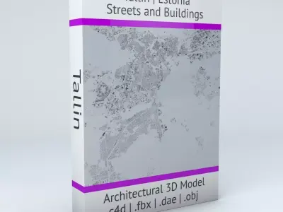 Tallinn Streets and Buildings 3D model
