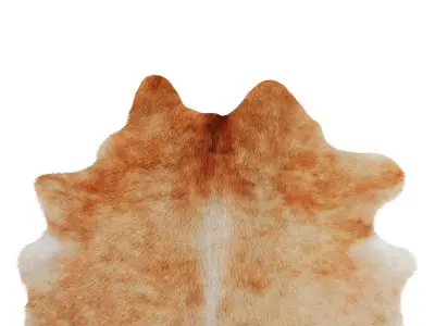 Light Caramel Cowhide Rug by Hudson Hides 3D model