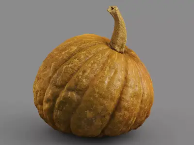 HIGH QUALITY REALISTIC PUMPKIN 8K MAPS 3D model