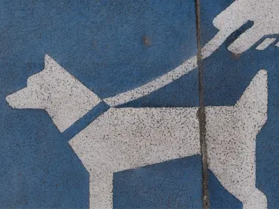 5 Street Sign of Korean Outdoor set 3D model