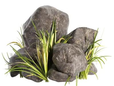 Rock with Grass 3D model