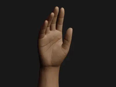 Male Right Hand Rigged Low-poly 3D model