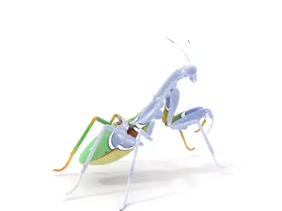 Mechanical Mantis model pack Low-poly 3D model
