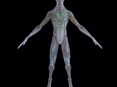 Alien 3D model 19