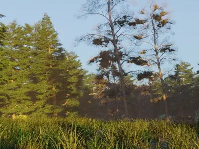 Summer forest 3D model