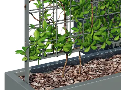 Trellis Planter 3D model