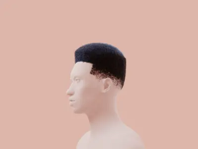 Flat Top Hair 3D model