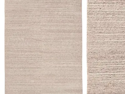 KIRAN WOOL and SILK RUG 3D model