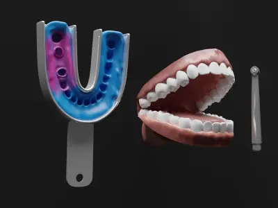 Teeth Impression Gums and Tool 3D model