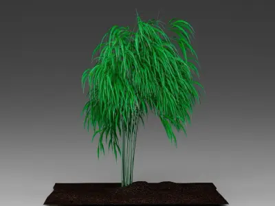 Decorative bamboo 3D model