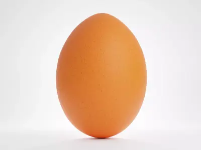 Chicken Egg 3D model