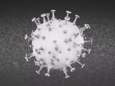 Coronavirus V5 - White Surface 3D model