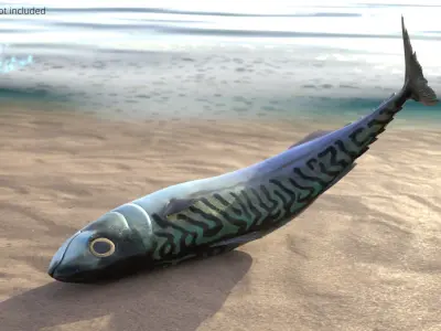  Atlantic Mackerel Fish Rigged For Blender Animated Set 