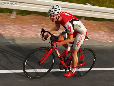  Specialized Road Cyclist Rigged 