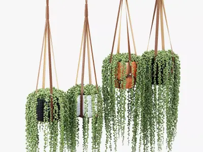 Plant hanger 3D model
