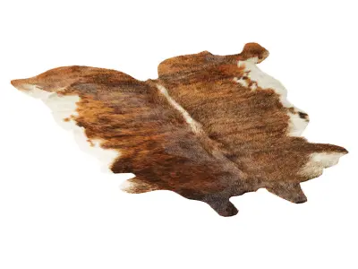 Rustic Living Rug 3D model