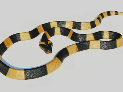 Rigged Banded Krait - Low Poly - Game Ready - PBR