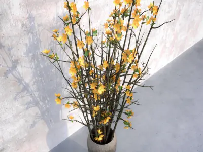 Yellow Forsythia in Vase 3D model