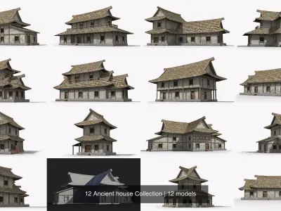 12 Ancient house Collection 3D Model Pack