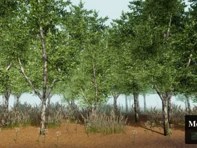 Birch forest pack for Unity Low-poly 3D model