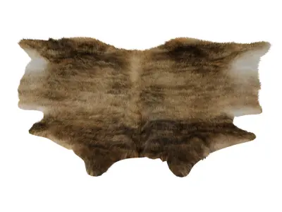 European Rug Cowhide 10 3D model