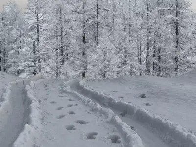 Ground covered with snow 3D model