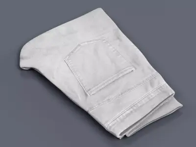 -White Pants- 3D model