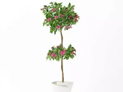 Purple And Green Plant In A Pot 3D model