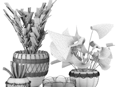 plant colection 01 3D model