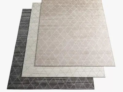 Restoration Hardware Rugs 103 3D model