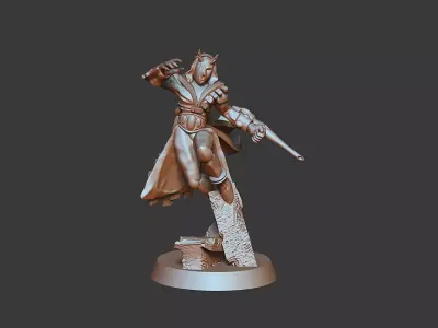 Harlequine Solo artist male  female models PRE-SUPPORTED 3D print model
