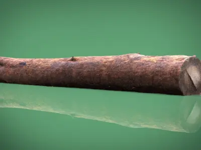 TREE TRUNK Low-poly 3D model