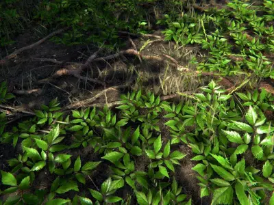 Nature Package - Forest Environment Unity Low-poly 3D model