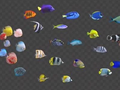  Fish Pack 30 - Animated 