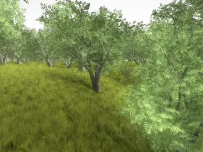 Honey Tree Package Low-poly 3D model