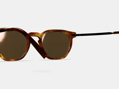 Rustin Sunglasses in Root Beer with Brushed Ink 3D model