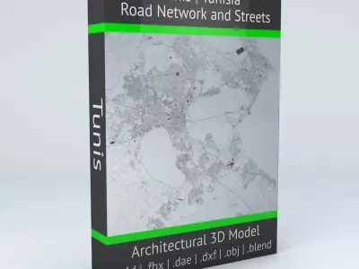 Tunis Road Network and Streets 3D model
