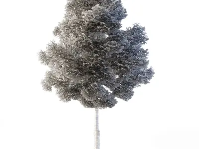 Small Leaved Lime Tree 4 Low-poly 3D model