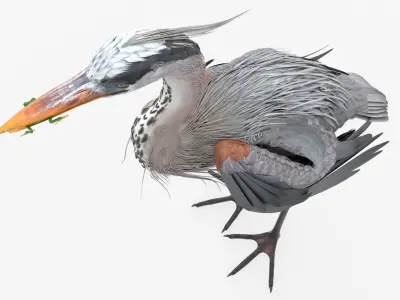  Predatory Heron with Frog For Blender 