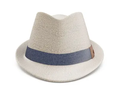 The Bastion Hat  3D model