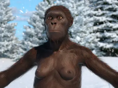  Museum-Grade Replica of Prehistoric Australopithecus Female Black Fur for Cinema 4D 