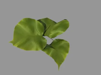 Leaf realistic pack Vol 01  Low-poly 3D model