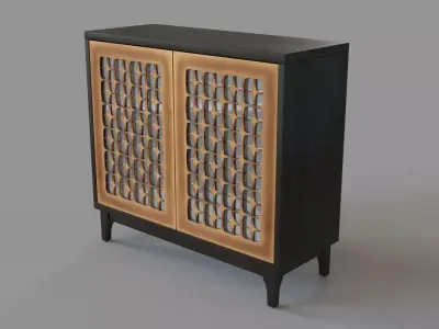 Santo 2 Door Accent Cabinet 3D model