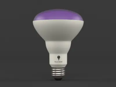 Led Light Bulbs 3D model