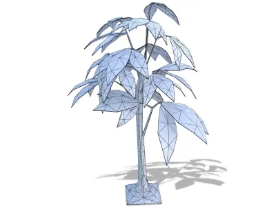 Tropical Leaves Tree Low-poly 3D model