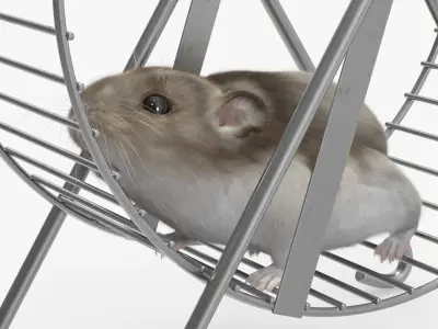  Pet Exercise Wheel on Stand with Running Hamster Fur 