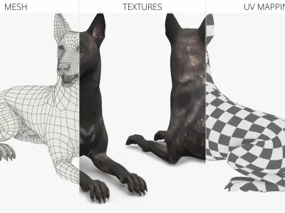  Shepherd Dog Lying Dark Brindle 